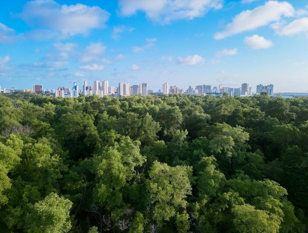 L'héritage architectural des monuments historiques : Une source d'inspiration pour le design contemporain