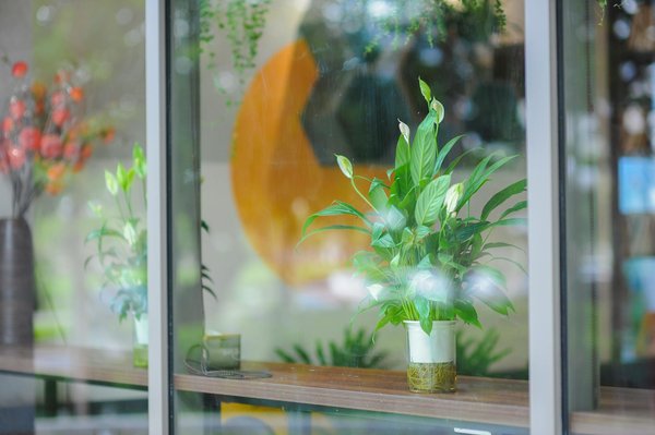 L'Art du Rire en Littérature Française : Un Voyage au Cœur de l'Humour